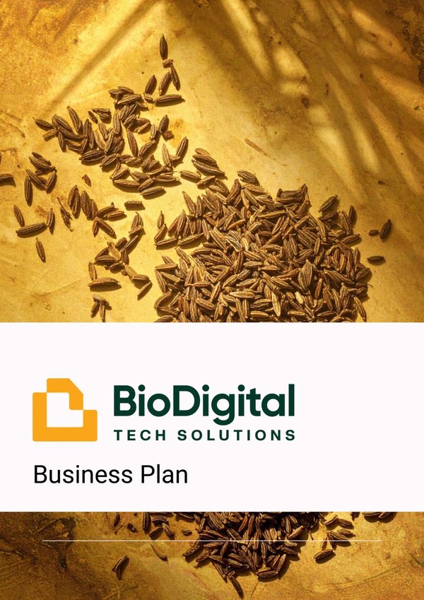 Business plan cover page produced by the Avvale document engine